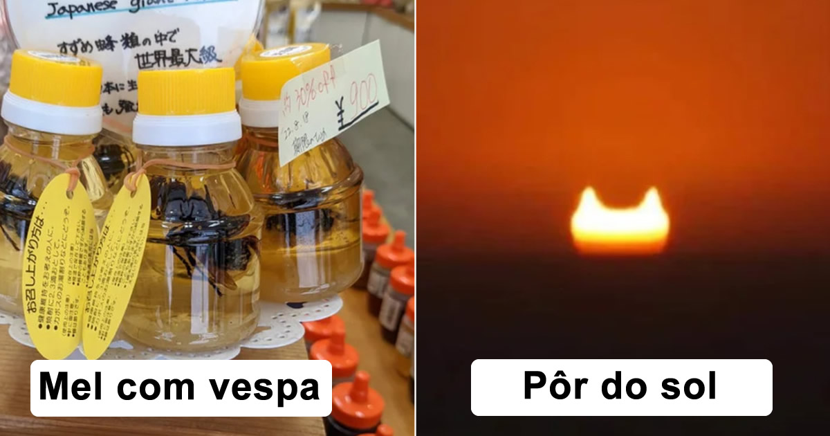 19 pessoas que não podiam acreditar em sua sorte com suas descobertas magníficas