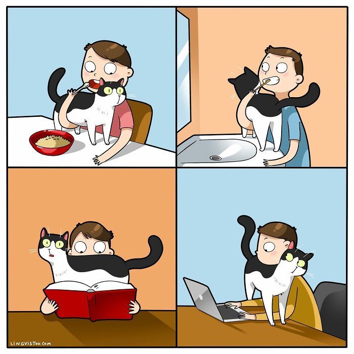40 quadrinhos divertidos de Lingvistov mostrando como é realmente viver com um gato 8