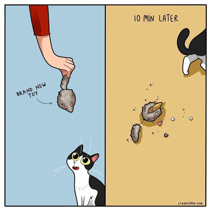 40 quadrinhos divertidos de Lingvistov mostrando como é realmente viver com um gato 12
