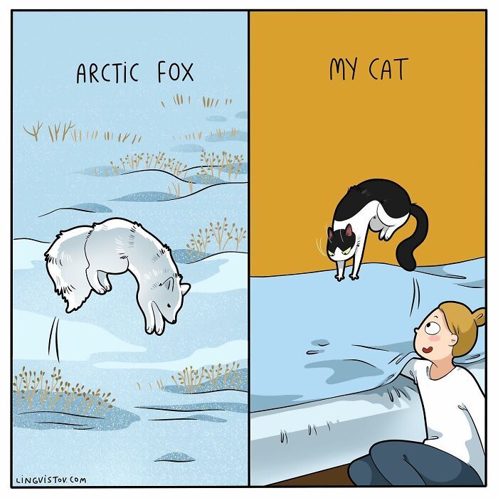 40 quadrinhos divertidos de Lingvistov mostrando como é realmente viver com um gato 15