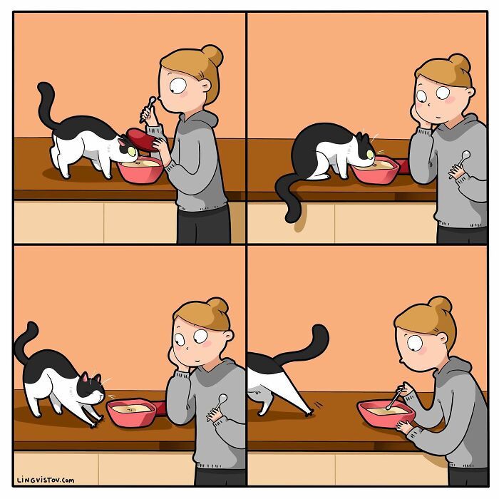 40 quadrinhos divertidos de Lingvistov mostrando como é realmente viver com um gato 21