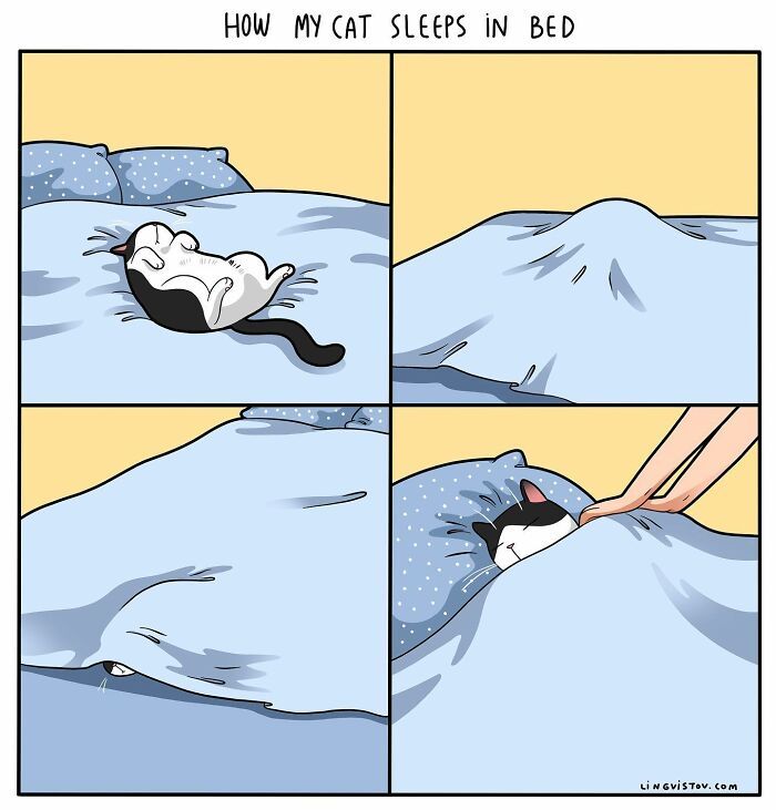 40 quadrinhos divertidos de Lingvistov mostrando como é realmente viver com um gato 25