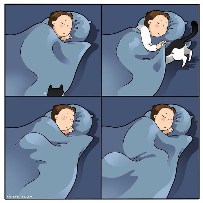 40 quadrinhos divertidos de Lingvistov mostrando como é realmente viver com um gato 27