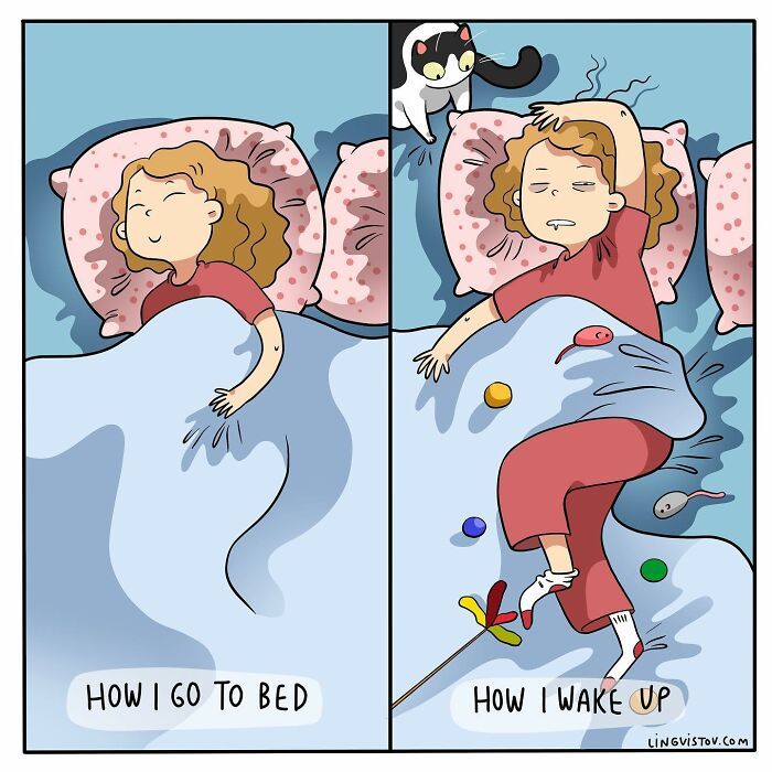 40 quadrinhos divertidos de Lingvistov mostrando como é realmente viver com um gato 30