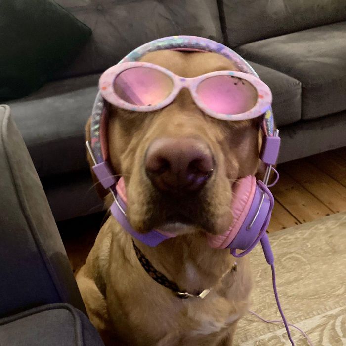 15 vezes em que as crianças nos surpreenderam com sua imaginação 14