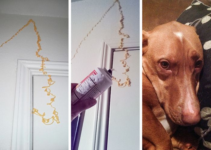 18 vezes em que o cérebro das pessoas teve muita dificuldade 3