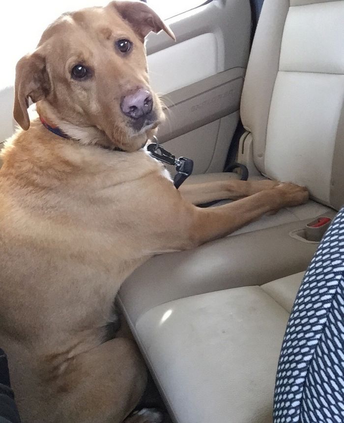 18 vezes em que o cérebro das pessoas teve muita dificuldade 6