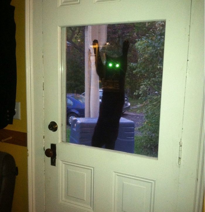 18 vezes em que o cérebro das pessoas teve muita dificuldade 8