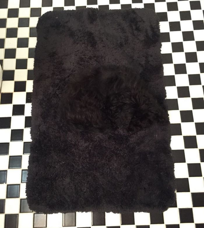 18 vezes em que o cérebro das pessoas teve muita dificuldade 9