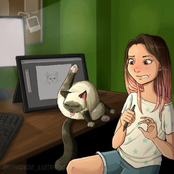 Artista mostra como é ter um gato em casa (52 fotos) 3