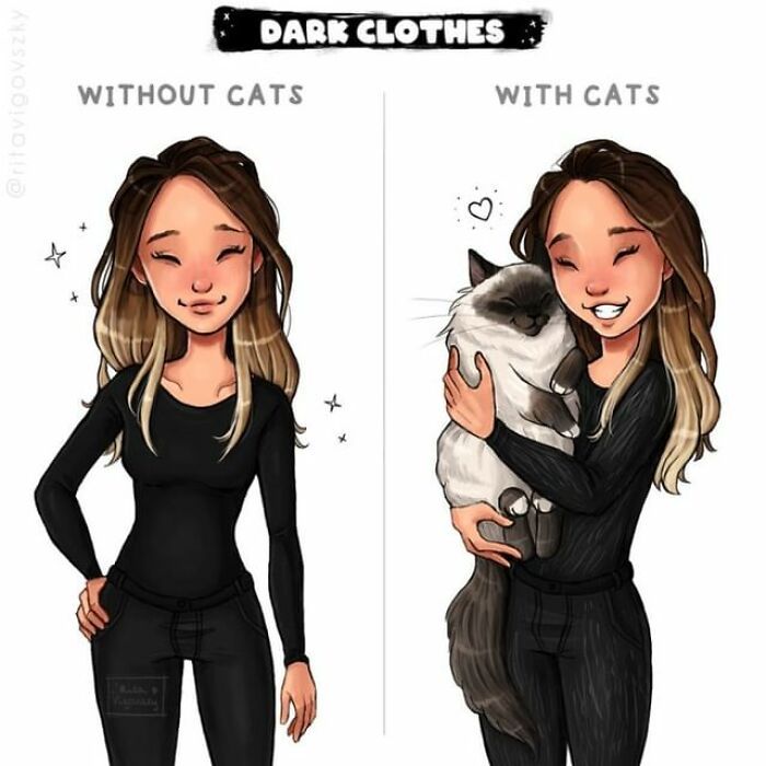 Artista mostra como é ter um gato em casa (52 fotos) 7