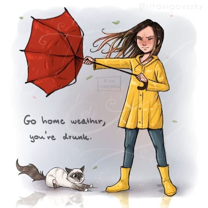 Artista mostra como é ter um gato em casa (52 fotos) 10