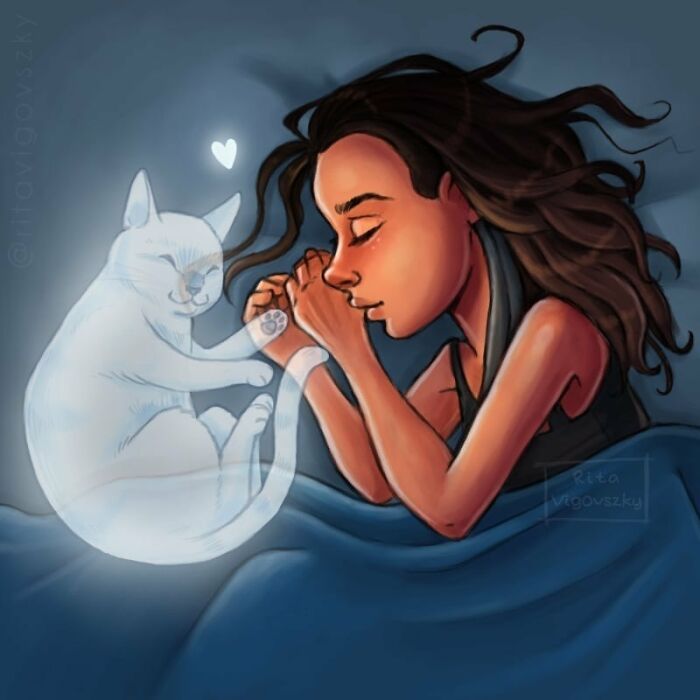 Artista mostra como é ter um gato em casa (52 fotos) 17