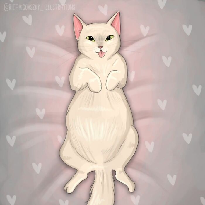 Artista mostra como é ter um gato em casa (52 fotos) 27