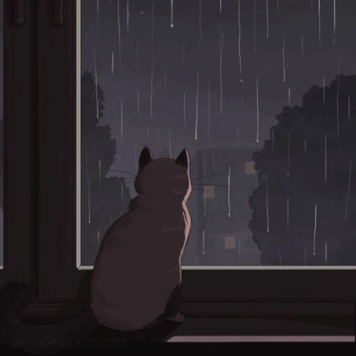 Artista mostra como é ter um gato em casa (52 fotos) 28