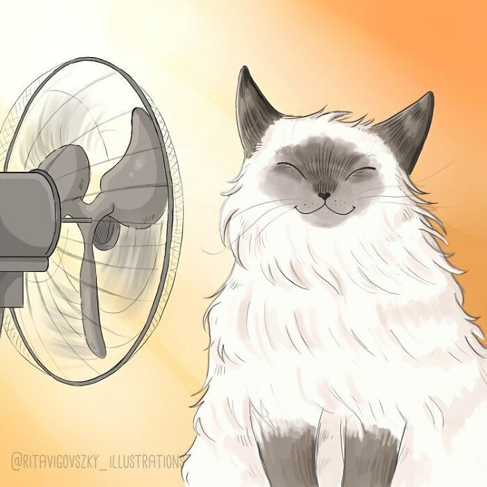 Artista mostra como é ter um gato em casa (52 fotos) 30