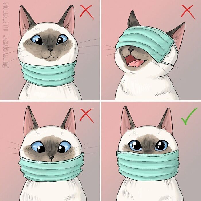 Artista mostra como é ter um gato em casa (52 fotos) 32