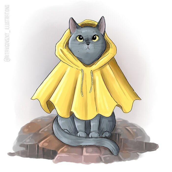 Artista mostra como é ter um gato em casa (52 fotos) 33