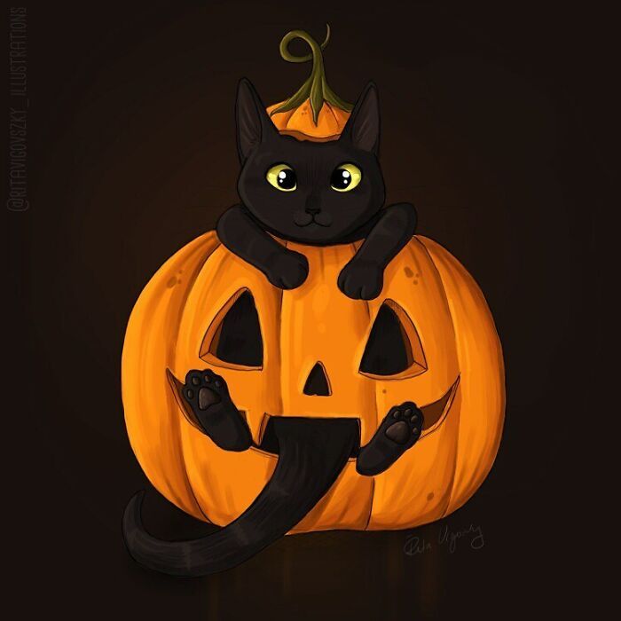 Artista mostra como é ter um gato em casa (52 fotos) 34