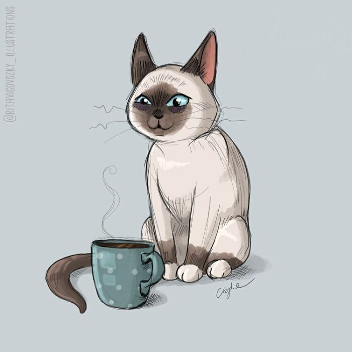 Artista mostra como é ter um gato em casa (52 fotos) 36