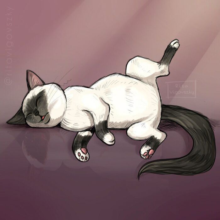 Artista mostra como é ter um gato em casa (52 fotos) 37