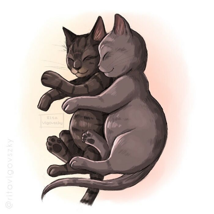 Artista mostra como é ter um gato em casa (52 fotos) 41