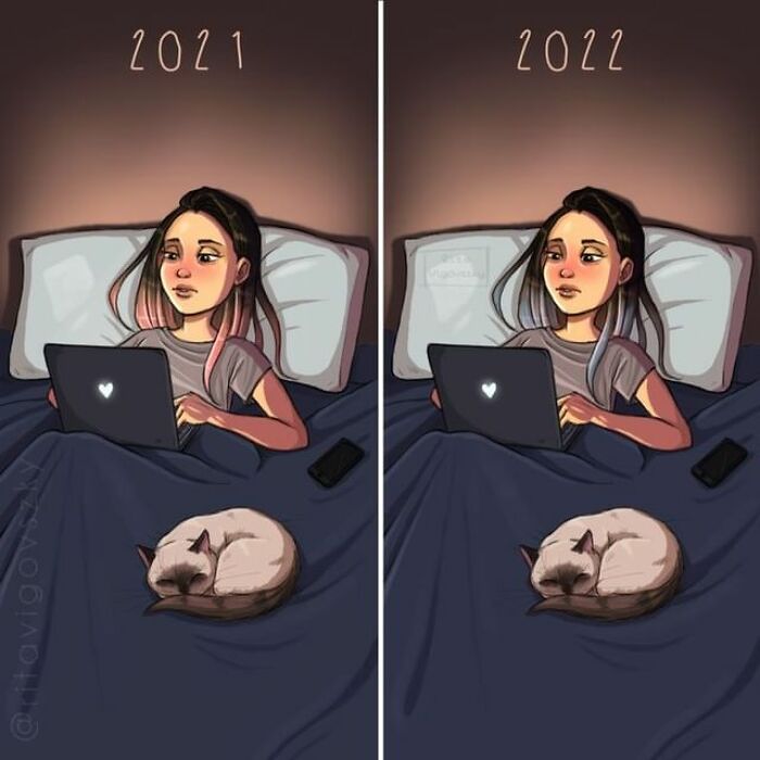 Artista mostra como é ter um gato em casa (52 fotos) 43