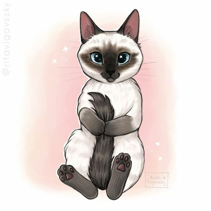 Artista mostra como é ter um gato em casa (52 fotos) 44