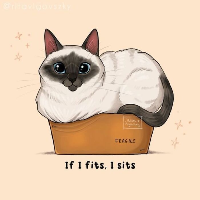 Artista mostra como é ter um gato em casa (52 fotos) 49