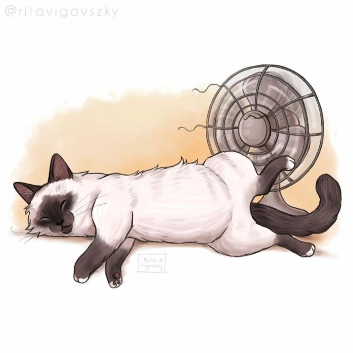 Artista mostra como é ter um gato em casa (52 fotos) 52