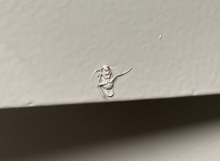 25 catástrofe na hora de reformar a casa que acaba sendo engraçadas 1