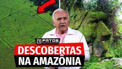 Descobertas incríveis feitas na Amazônia que você não sabia 3