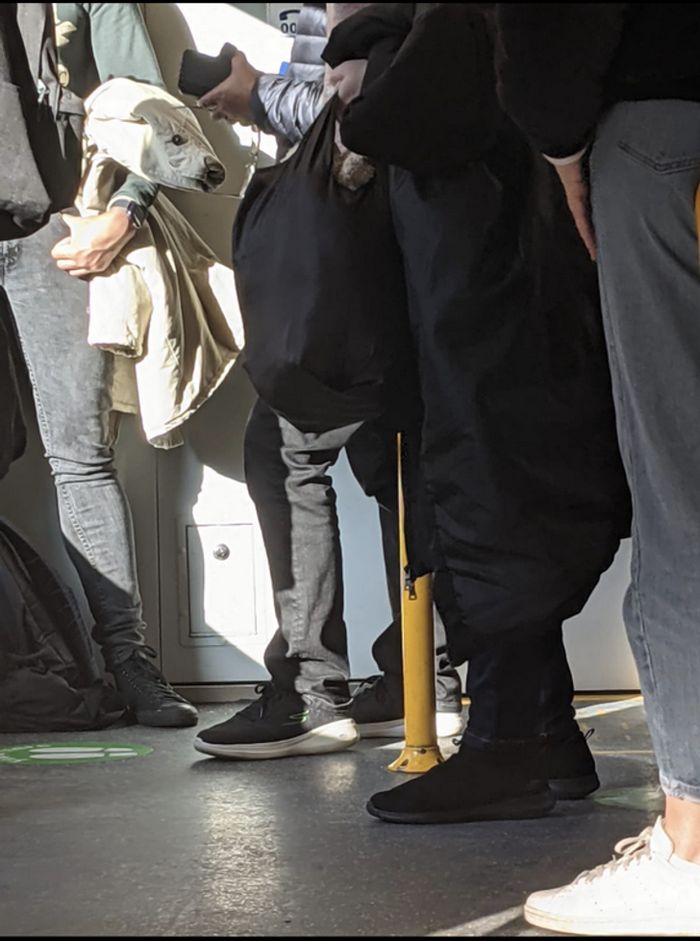 15 fotos complicadas que nos fizeram coçar a cabeça 5