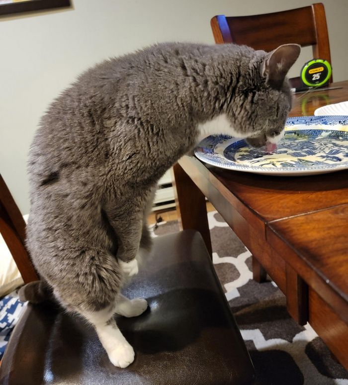 15 fotos complicadas que nos fizeram coçar a cabeça 7