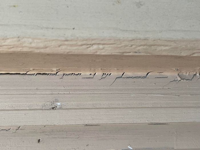 15 fotos complicadas que nos fizeram coçar a cabeça 11