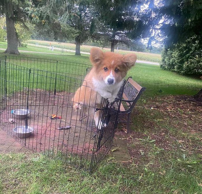 15 fotos complicadas que nos fizeram coçar a cabeça 13