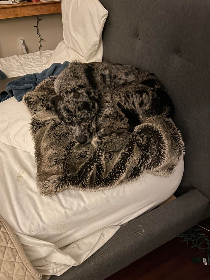 15 fotos complicadas que nos fizeram coçar a cabeça 14