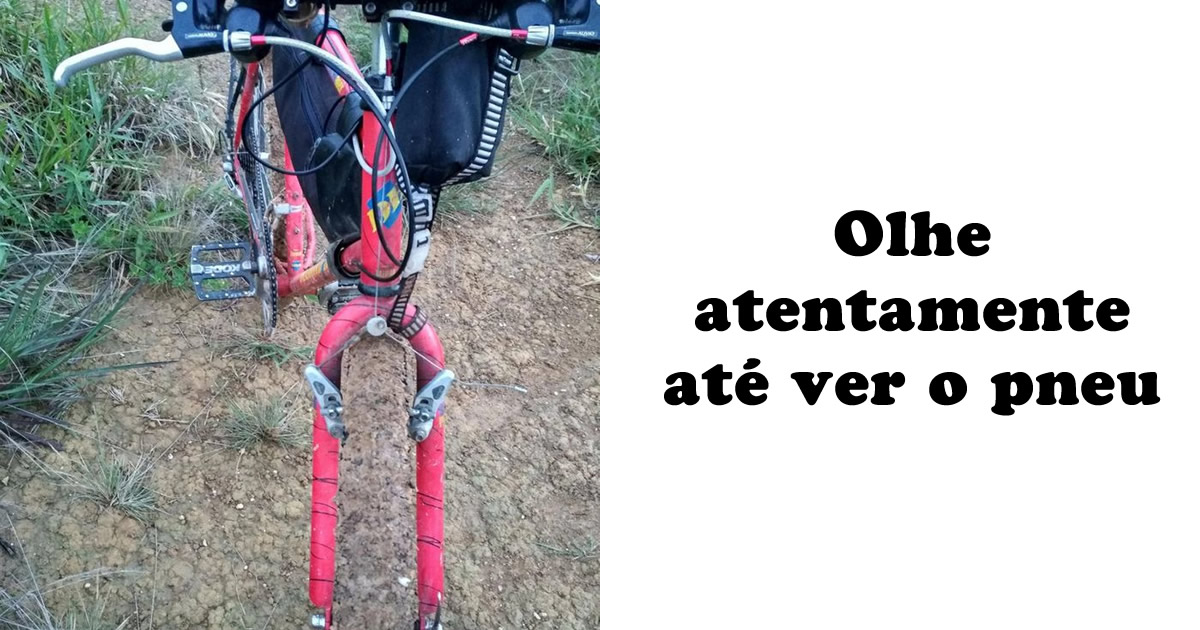 15 fotos complicadas que nos fizeram coçar a cabeça
