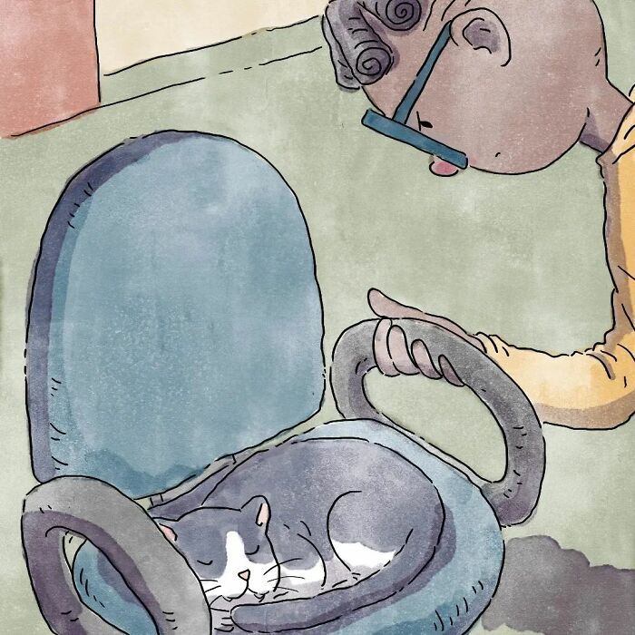 3 histórias sobre a vida com um gato e um cachorro 14 3 histórias sobre a vida com um gato e um cachorro 14
