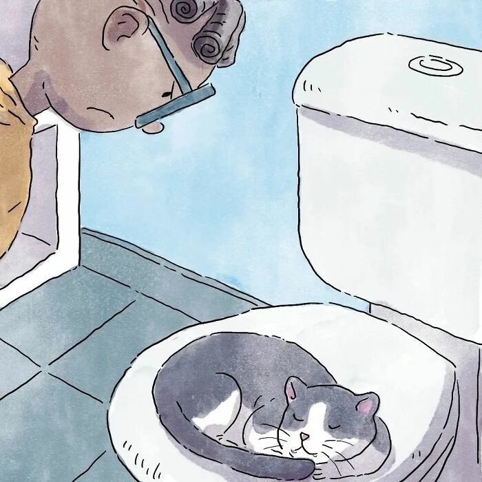 3 histórias sobre a vida com um gato e um cachorro 16 3 histórias sobre a vida com um gato e um cachorro 16