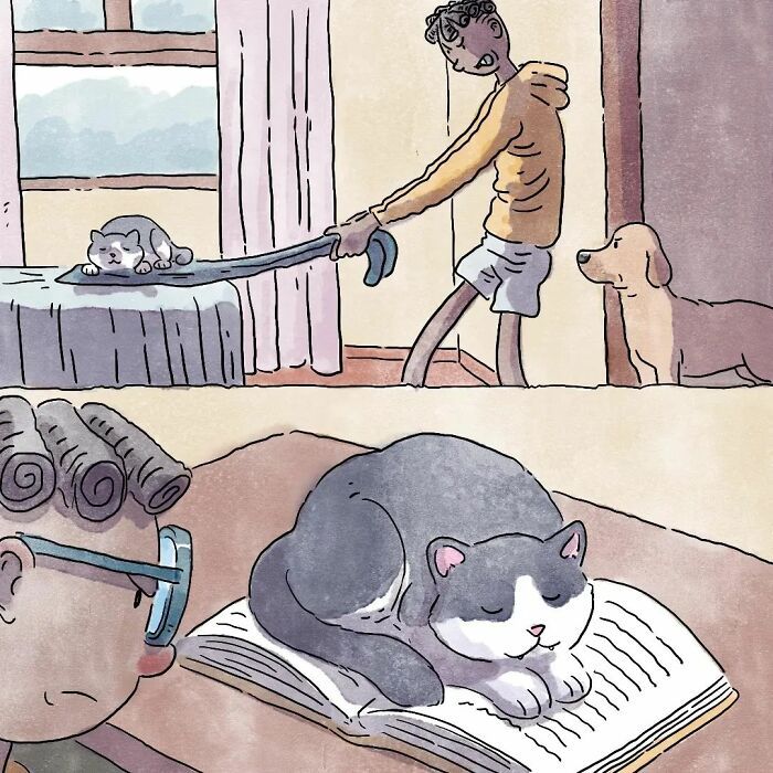 3 histórias sobre a vida com um gato e um cachorro 17 3 histórias sobre a vida com um gato e um cachorro 17