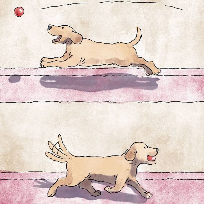 3 histórias sobre a vida com um gato e um cachorro 26 3 histórias sobre a vida com um gato e um cachorro 26