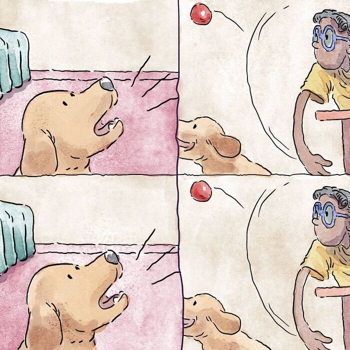 3 histórias sobre a vida com um gato e um cachorro 27 3 histórias sobre a vida com um gato e um cachorro 27