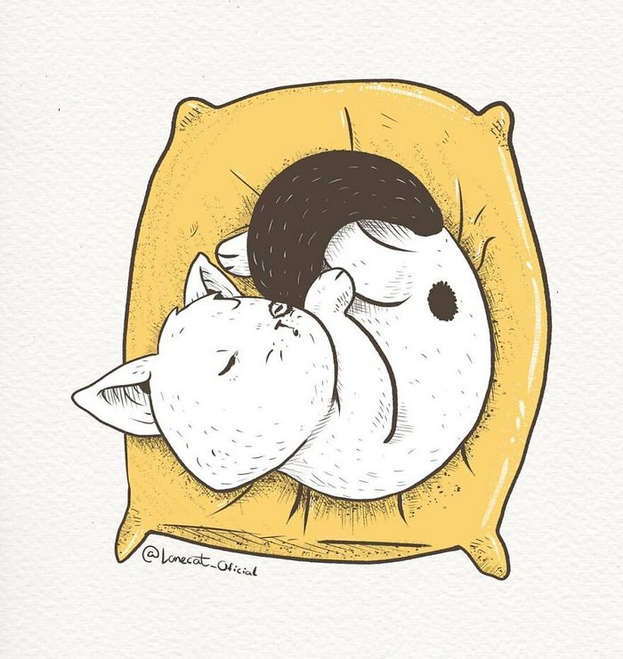 Ilustrações fofas com um gato introvertido que está apenas vivendo sua vida (29 fotos) 2