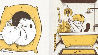 Ilustrações fofas com um gato introvertido que está apenas vivendo sua vida (29 fotos) 40