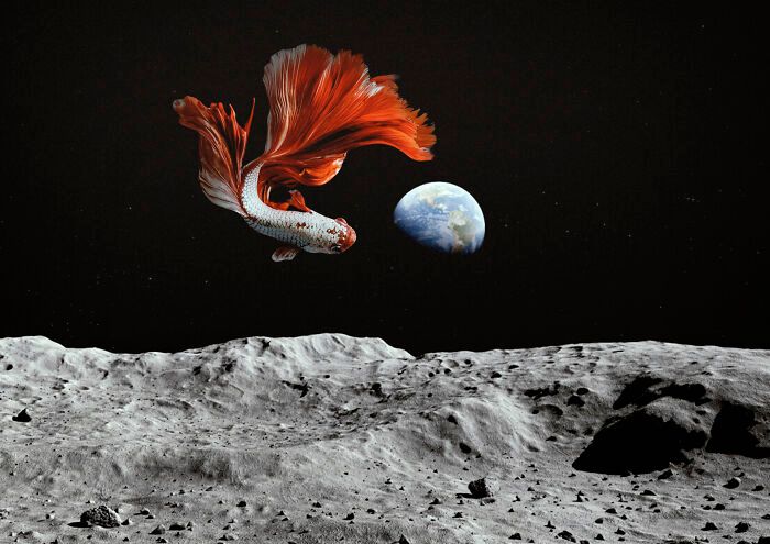 21 imagens surreais que criei combinando minhas fotos no Photoshop 2