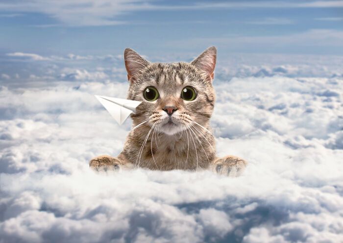 21 imagens surreais que criei combinando minhas fotos no Photoshop 3