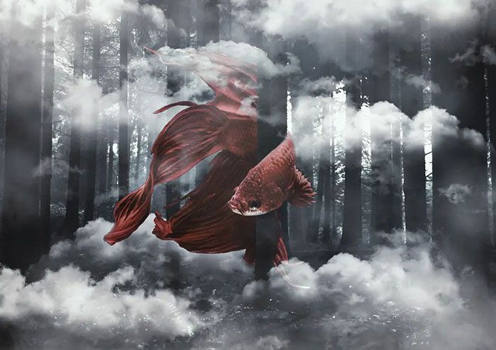 21 imagens surreais que criei combinando minhas fotos no Photoshop 11