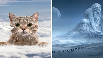 21 imagens surreais que criei combinando minhas fotos no Photoshop 9