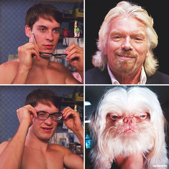 28 memes que mostram celebridades e seus dublê de uma maneira engraçada 5